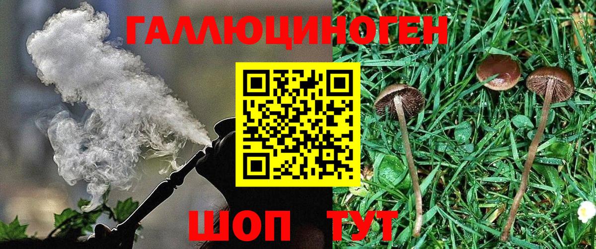 Псилоцибиновые грибы прущие грибы  Вход с VPN  Балтийск 